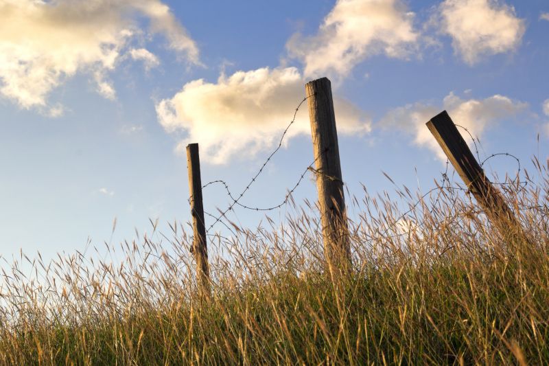 Barb Wire Fencing Repair