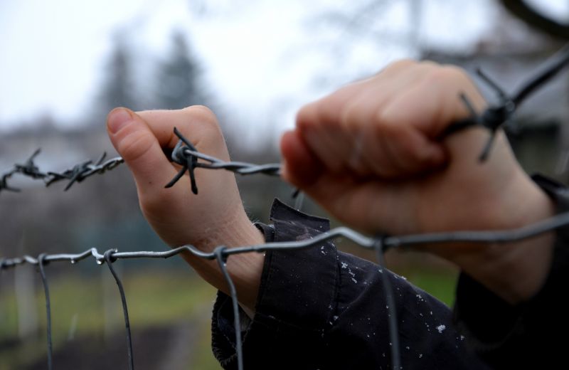Barb Wire Fencing Repair