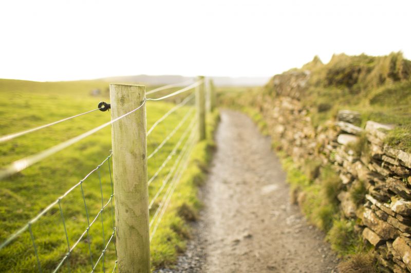 Boundary Fence Installation