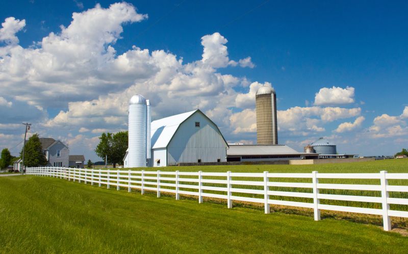 Farm Fencing Installation