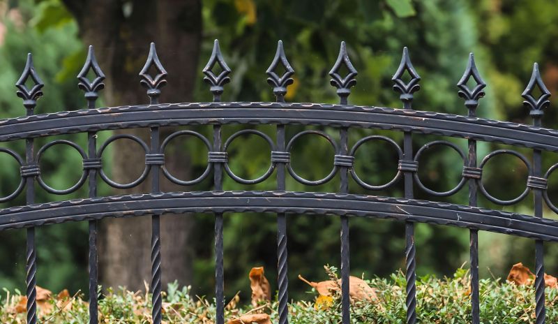 Decorative Iron Fence