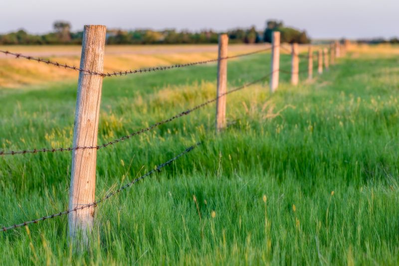Wire Fence Replacement